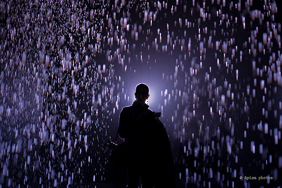 B in the rain room