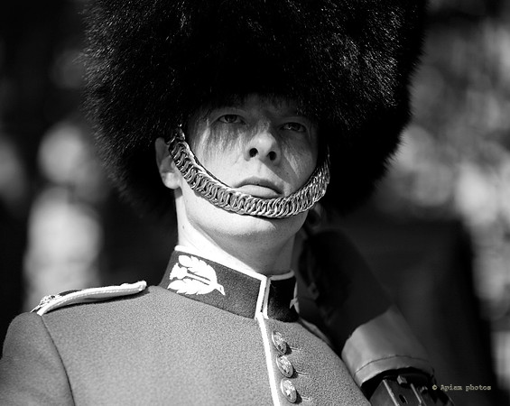 Guards 036 BW