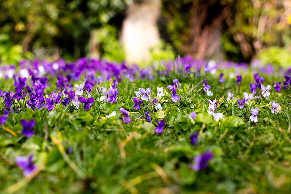 20150325_0779