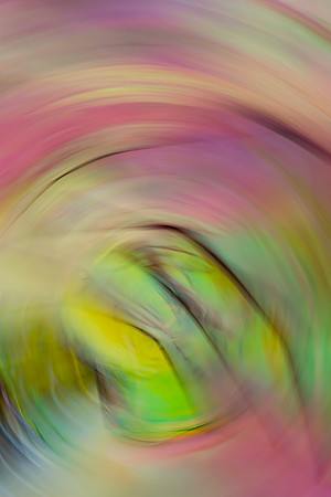0004 - Serpentine 2015 - Ghislaine Salabert