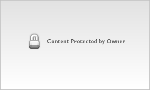 portfolio web 72dpi