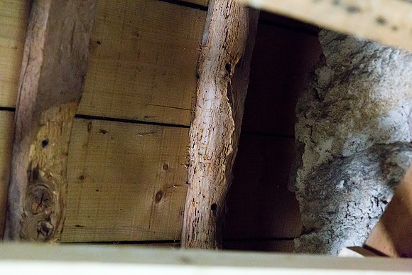 IMG_8863