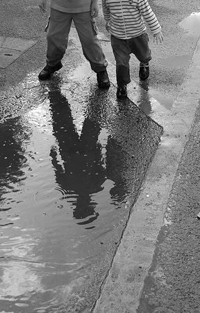 relections