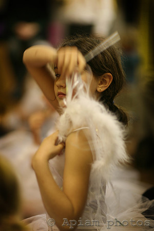 chamber music & ballet 215 crop