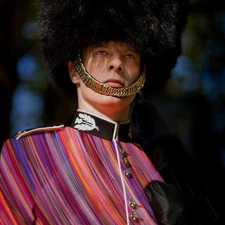 Guards stripes sq