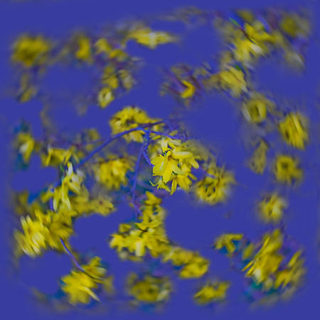 New European Flag