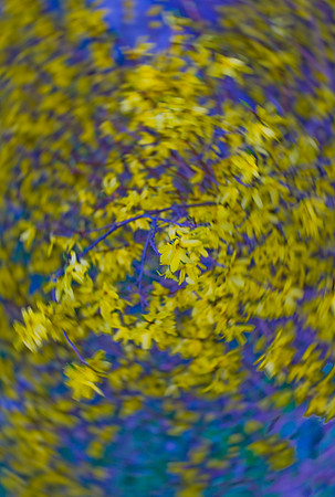 201225Mar_4170 final