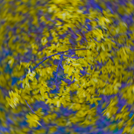 201225Mar_4170 final sq