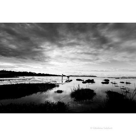 La baie de Beaussais
