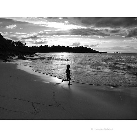 La laisse de mer sur le sable mouillé