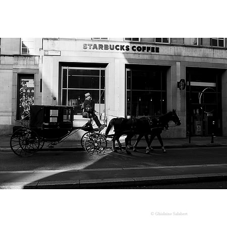 Les chevaux dans la City de Londres