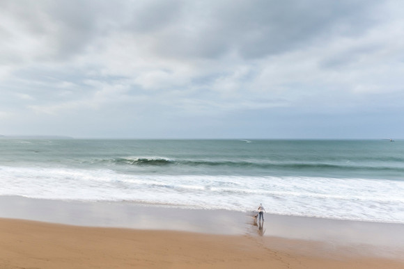 The dog's walk - la ballade du chien