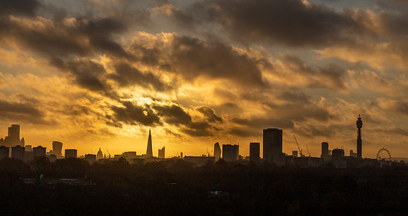 Primrose_Panorama1 middle 2 copy 2