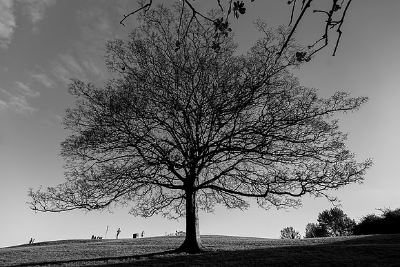 Primrose Hill