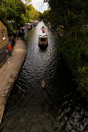 IMG_4368_1