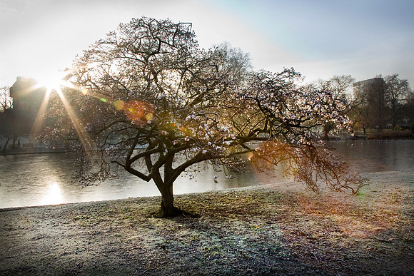 20121212_1292
