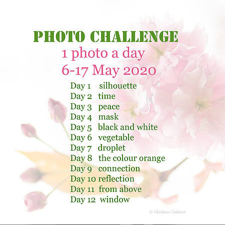 Photo challenge May sq
