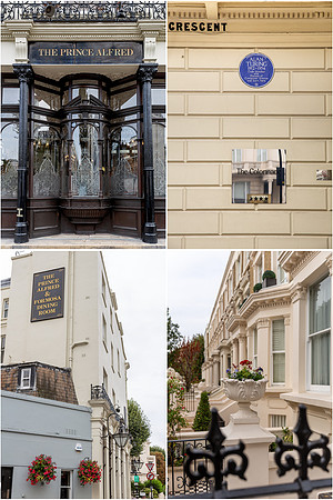 Orinc eAlfred white stucco_1