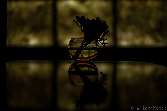 silhouette-107